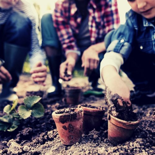 Jardinage & Soins des mains - Naturals&co