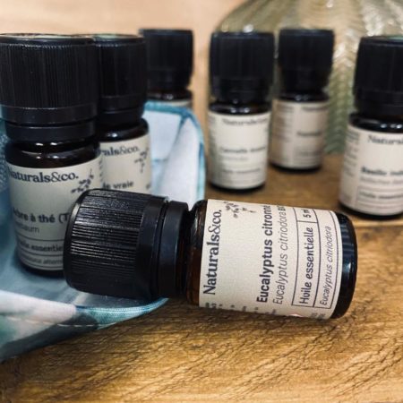 Pharmacie de Voyage - E-learning - Formations - Naturals&co - Naturalsandco.ch