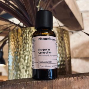 Bourgeon de Cornouiller BIO - Gemmothérapie - Naturals&co