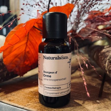 Bourgeon d'Orme BIO - Gemmothérapie - Naturals&co