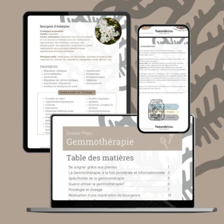 eBook Gemmothérpie - Naturalsandco - Naturals&co