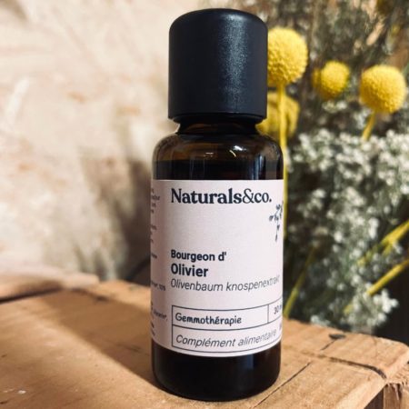 Bourgeon d'Olivier BIO - Gemmothérapie - Naturals&co