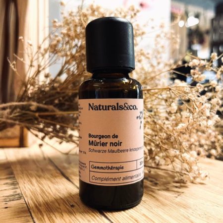 Bourgeon de Mûrier noir BIO - Gemmothérapie - Naturals&co