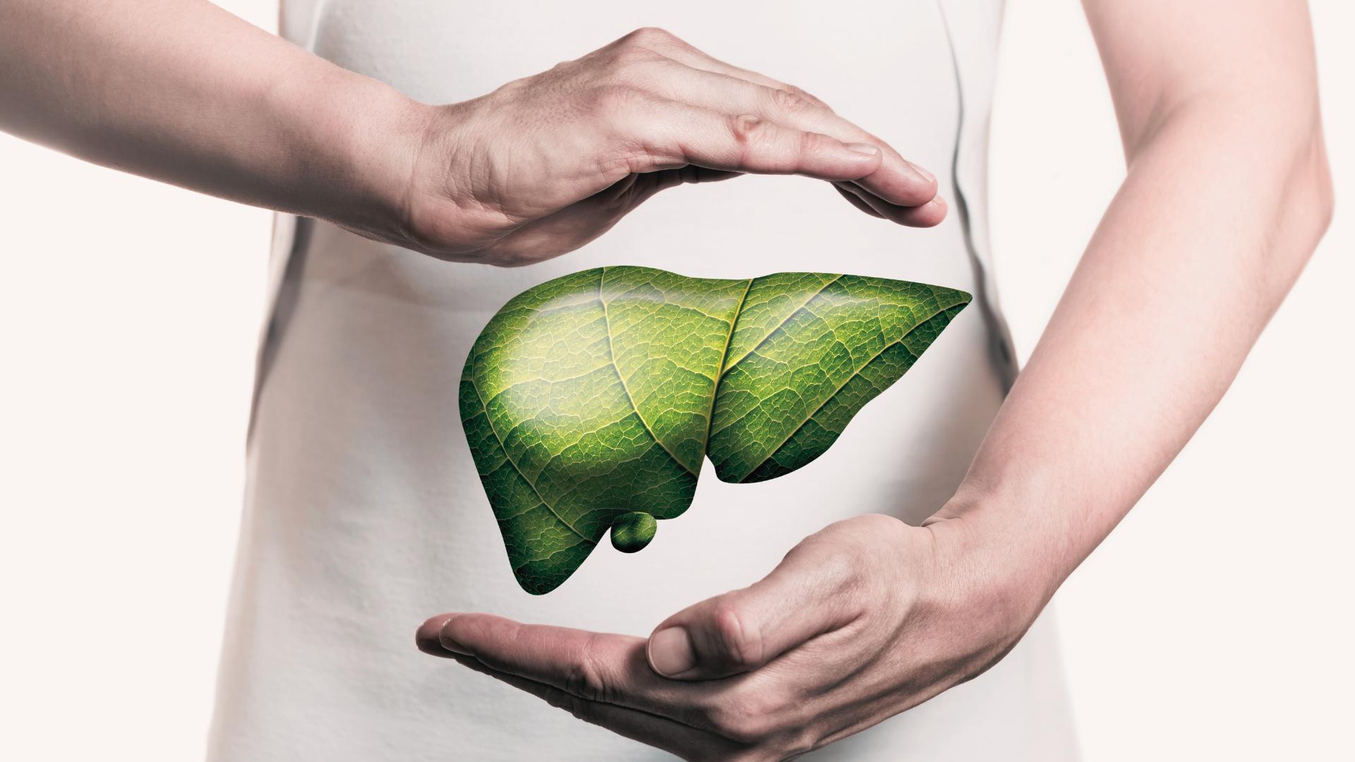 Drainer son foie - Naturals&co - Naturalsandco