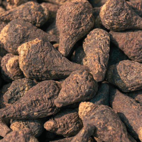 Maca: bienfaits et propriétés - Naturals&co - Naturalsandco